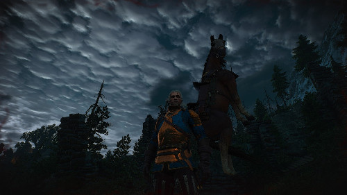 Скриншот из The Witcher 3: Wild Hunt